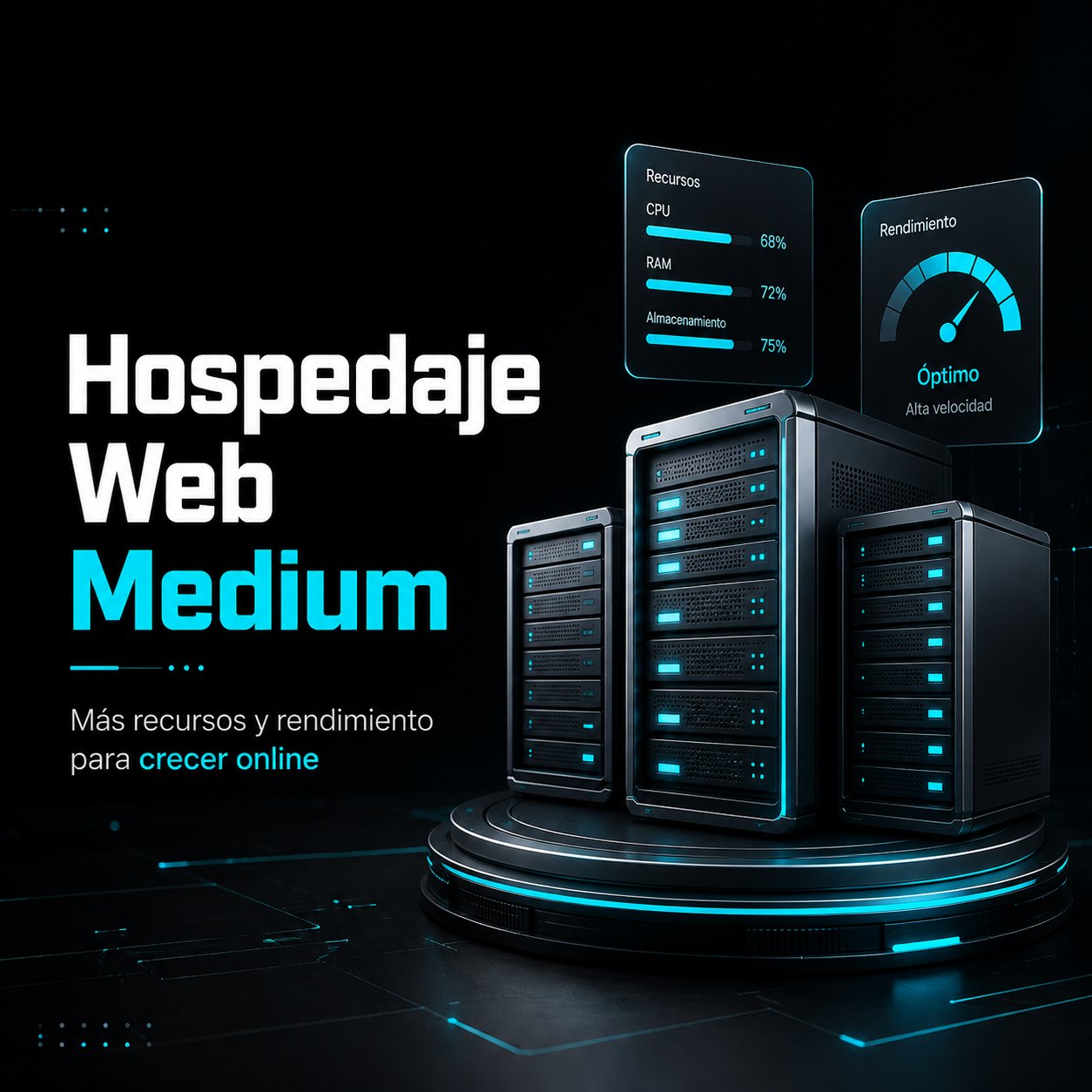 Hospedaje Web Medium